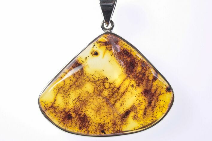 Polished Baltic Amber Pendant (Necklace) - Sterling Silver #241219